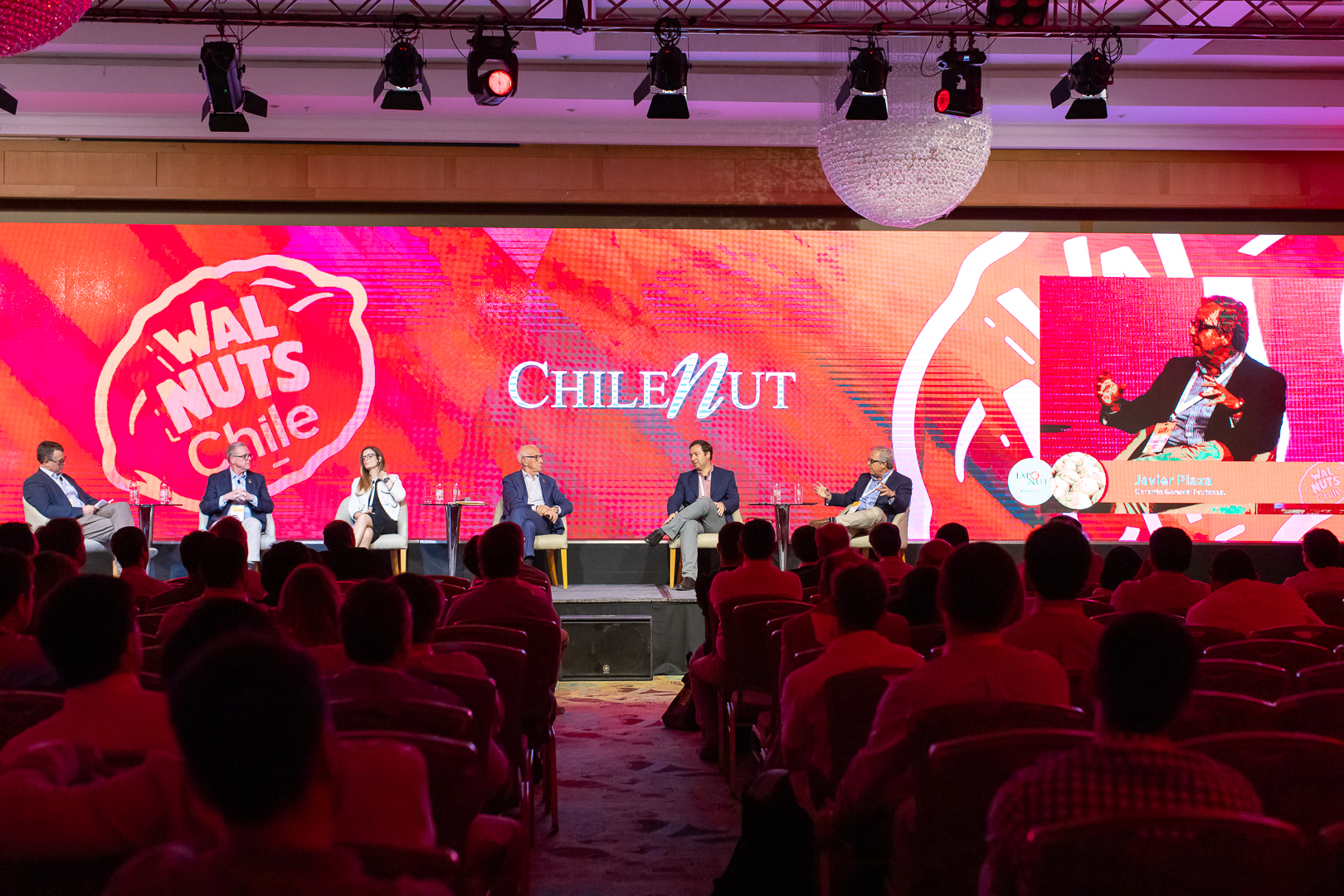 Encuentro Exponut